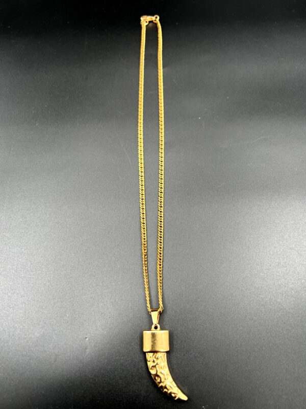 Horn necklace (G)