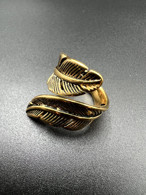 Gladiator ring II
